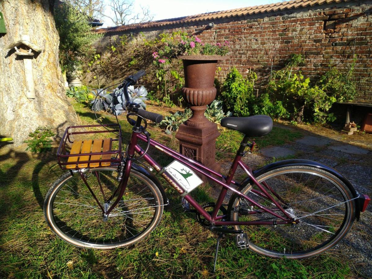 4 Sterne Wohnen "Zum Alten Forsthof" Am Schlosspark, App 1 "Smuck Und Groot" オイティン エクステリア 写真